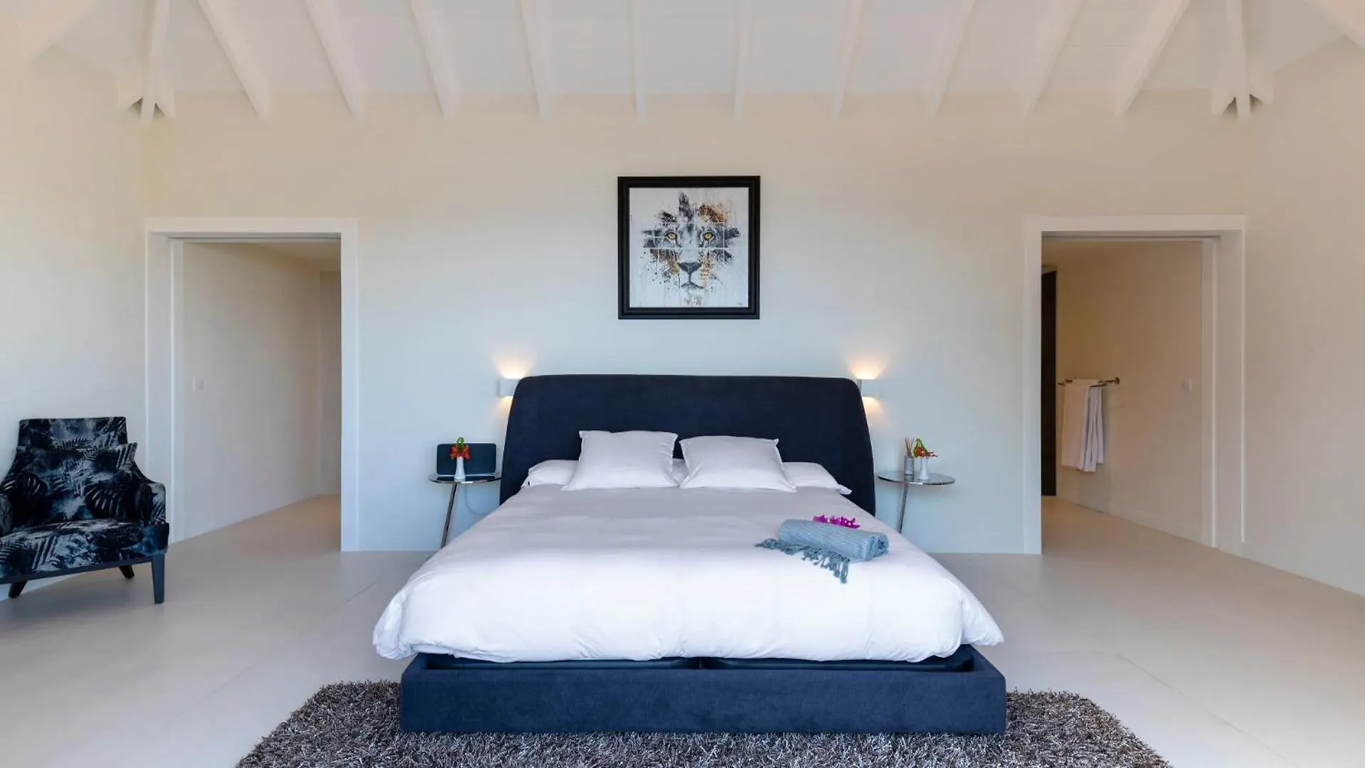 St. Barthelemy Villa With Light And Soothing Atmosphere 0*, St. Barthelemy סיינט ברתולומיאו